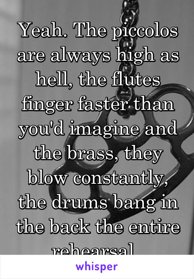 Yeah. The piccolos are always high as hell, the flutes finger faster than you'd imagine and the brass, they blow constantly, the drums bang in the back the entire rehearsal. 