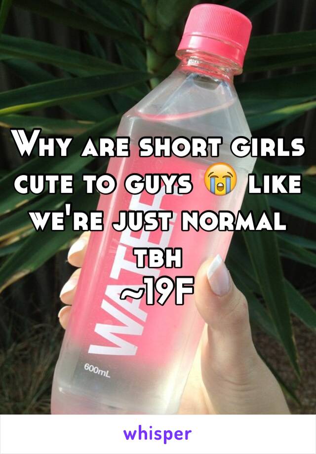 Why are short girls cute to guys 😭 like we're just normal tbh
~19F