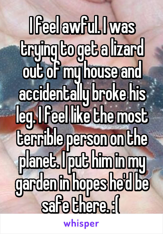 I feel awful. I was trying to get a lizard out of my house and accidentally broke his leg. I feel like the most terrible person on the planet. I put him in my garden in hopes he'd be safe there. :( 