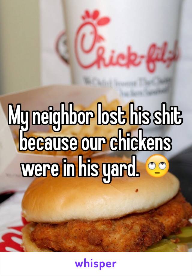 My neighbor lost his shit because our chickens were in his yard. 🙄