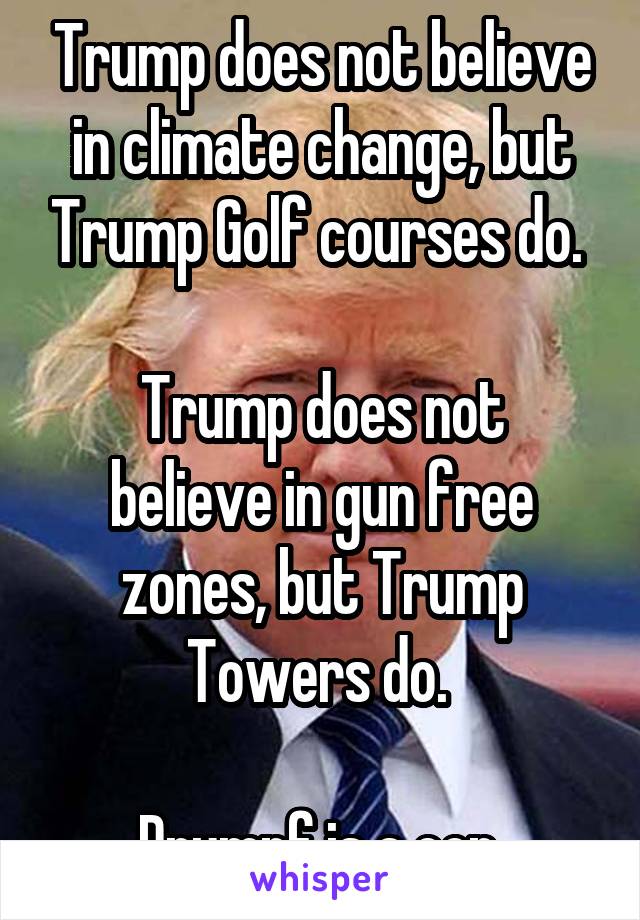 Trump does not believe in climate change, but Trump Golf courses do. 

Trump does not believe in gun free zones, but Trump Towers do. 

Drumpf is a con 