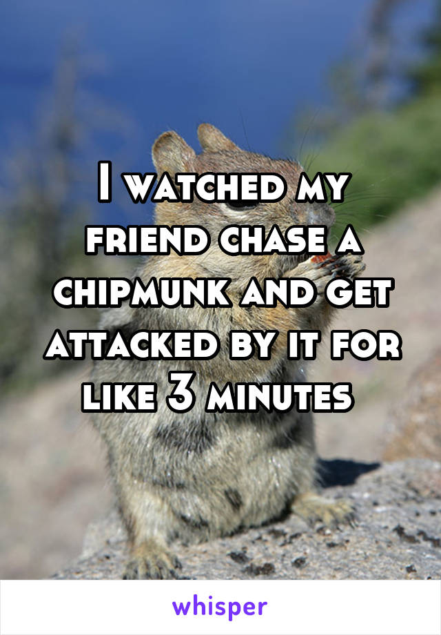 I watched my friend chase a chipmunk and get attacked by it for like 3 minutes 
