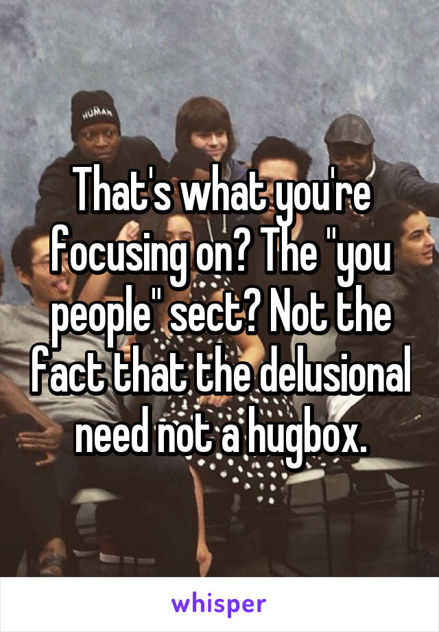 That's what you're focusing on? The "you people" sect? Not the fact that the delusional need not a hugbox.