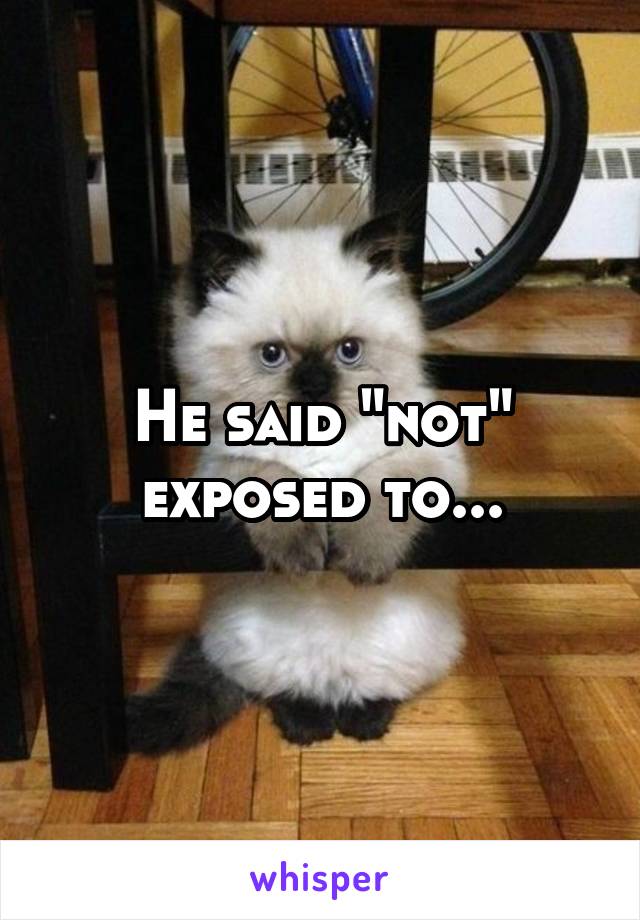 He said "not" exposed to...