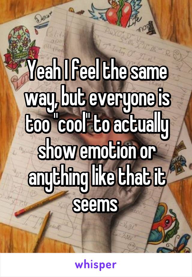 Yeah I feel the same way, but everyone is too "cool" to actually show emotion or anything like that it seems 