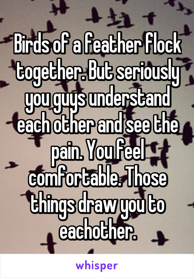 Birds of a feather flock together. But seriously you guys understand each other and see the pain. You feel comfortable. Those things draw you to eachother.