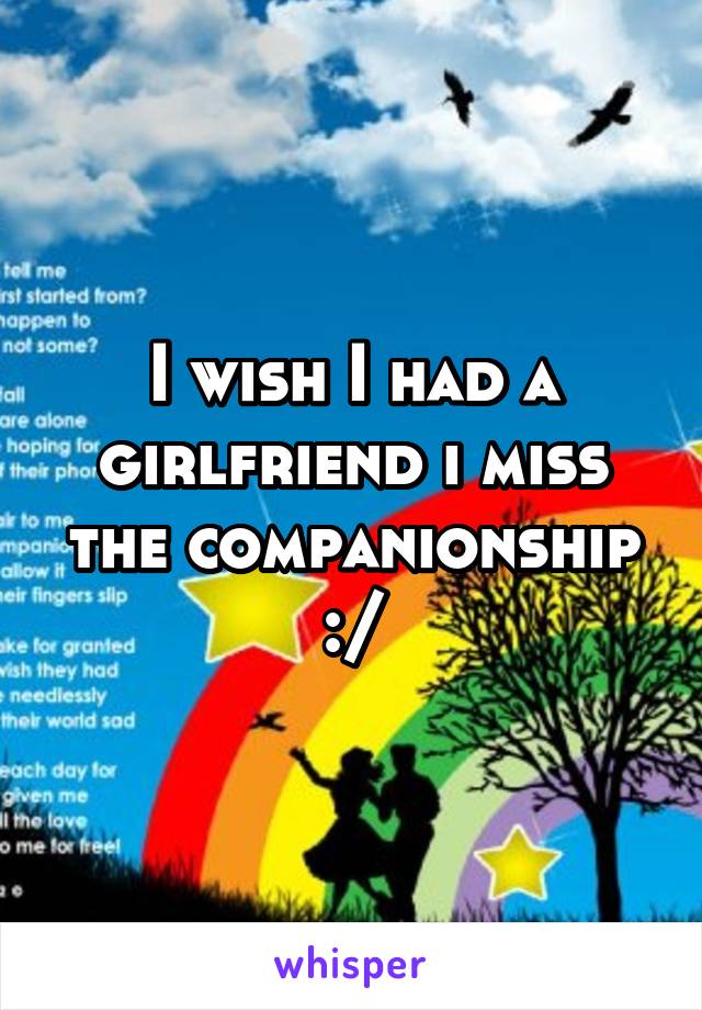 I wish I had a girlfriend i miss the companionship :/