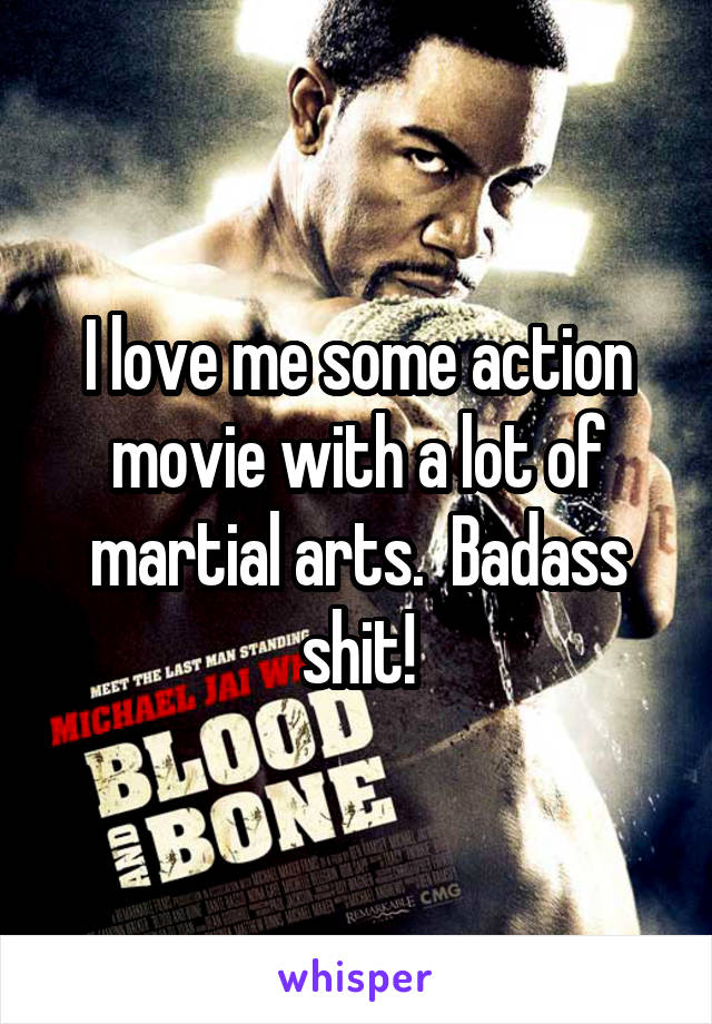 I love me some action movie with a lot of martial arts.  Badass shit!