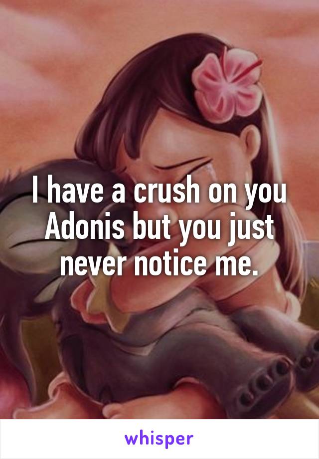 I have a crush on you Adonis but you just never notice me.