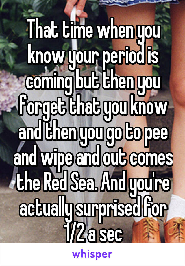 That time when you know your period is coming but then you forget that you know and then you go to pee and wipe and out comes the Red Sea. And you're actually surprised for 1/2 a sec