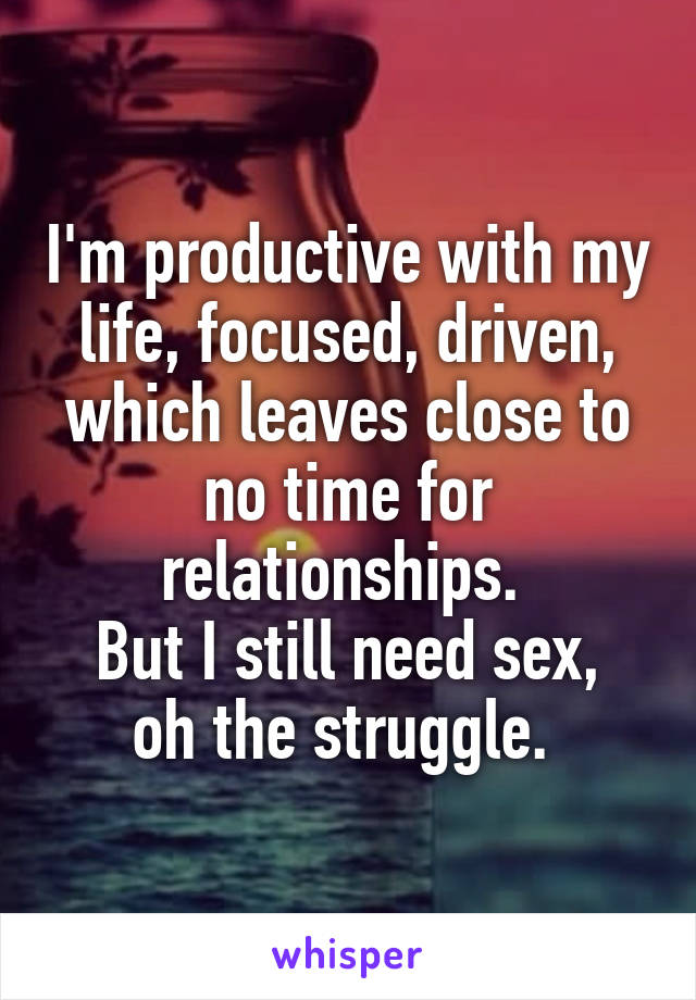 I'm productive with my life, focused, driven, which leaves close to no time for relationships. 
But I still need sex, oh the struggle. 