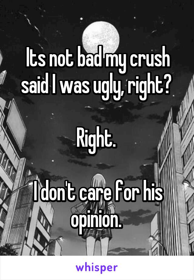 Its not bad my crush said I was ugly, right? 

Right. 

I don't care for his opinion. 