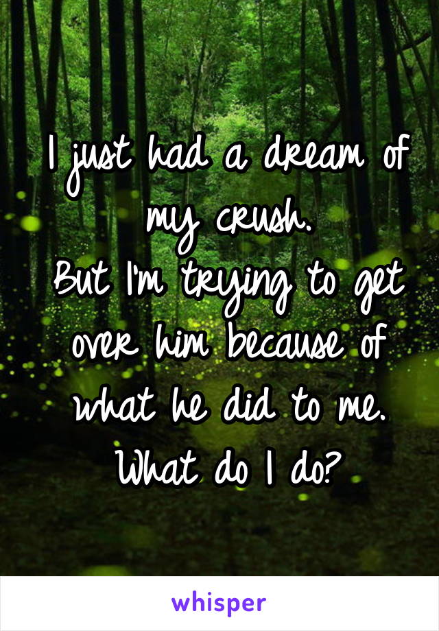 I just had a dream of my crush.
But I'm trying to get over him because of what he did to me.
What do I do?