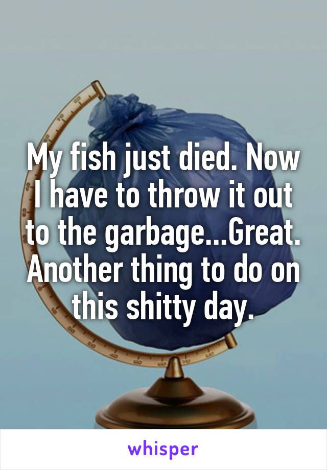 My fish just died. Now I have to throw it out to the garbage...Great. Another thing to do on this shitty day.