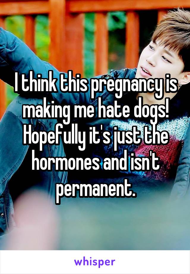 I think this pregnancy is making me hate dogs! Hopefully it's just the hormones and isn't permanent.