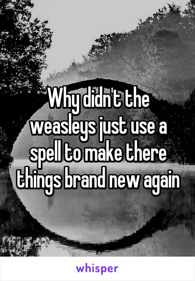 Why didn't the weasleys just use a spell to make there things brand new again