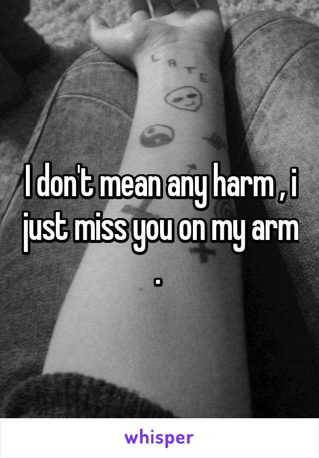 I don't mean any harm , i just miss you on my arm . 