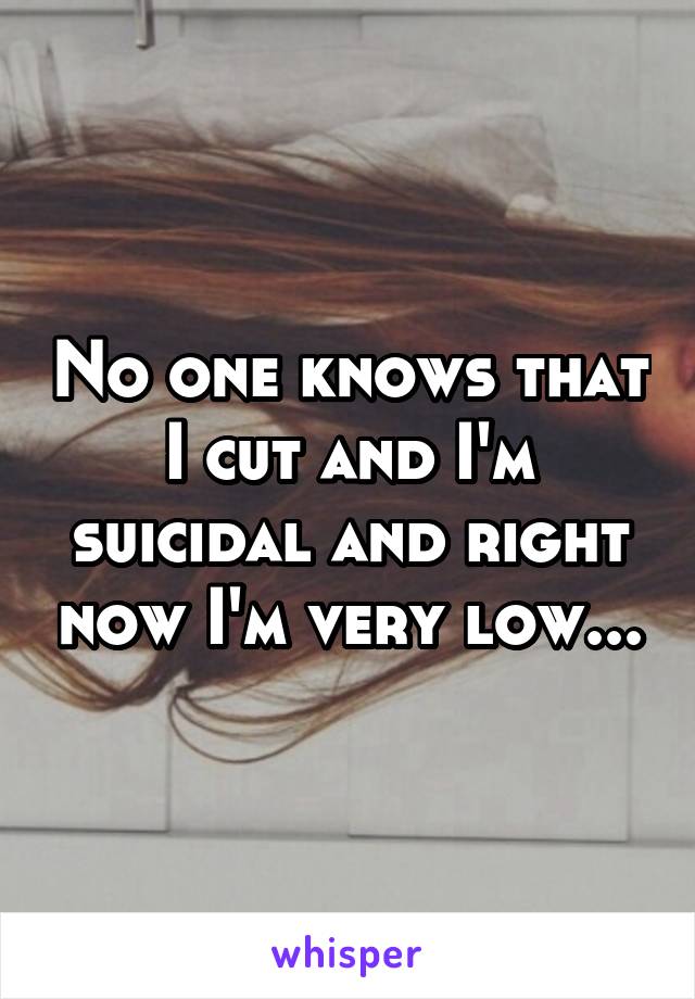 No one knows that I cut and I'm suicidal and right now I'm very low...