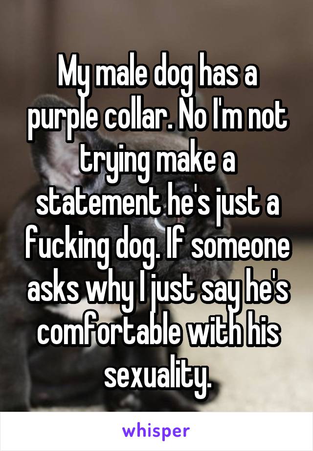 My male dog has a purple collar. No I'm not trying make a statement he's just a fucking dog. If someone asks why I just say he's comfortable with his sexuality.