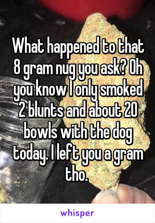 What happened to that 8 gram nug you ask? Oh you know I only smoked 2 blunts and about 20 bowls with the dog today. I left you a gram tho. 