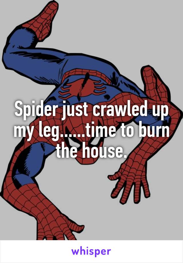 Spider just crawled up my leg......time to burn the house.