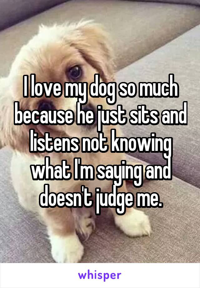 I love my dog so much because he just sits and listens not knowing what I'm saying and doesn't judge me.