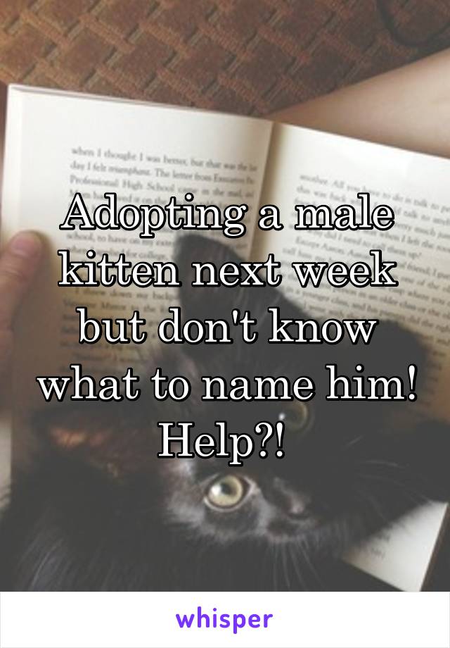 Adopting a male kitten next week but don't know what to name him! Help?! 