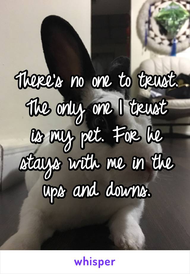 There's no one to trust.
The only one I trust is my pet. For he stays with me in the ups and downs.