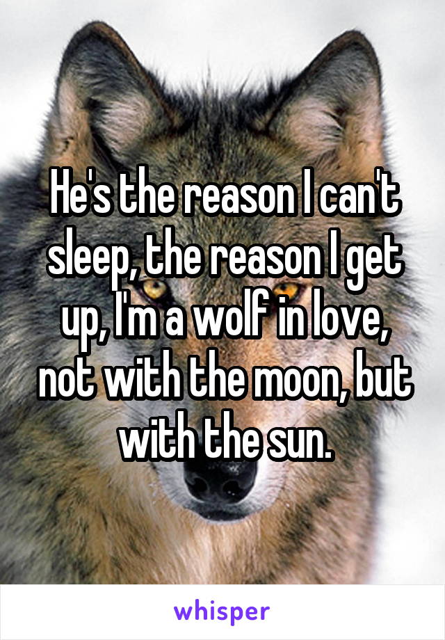 He's the reason I can't sleep, the reason I get up, I'm a wolf in love, not with the moon, but with the sun.