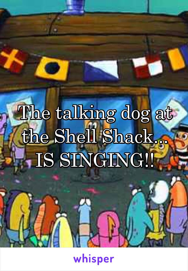 The talking dog at the Shell Shack... IS SINGING!!