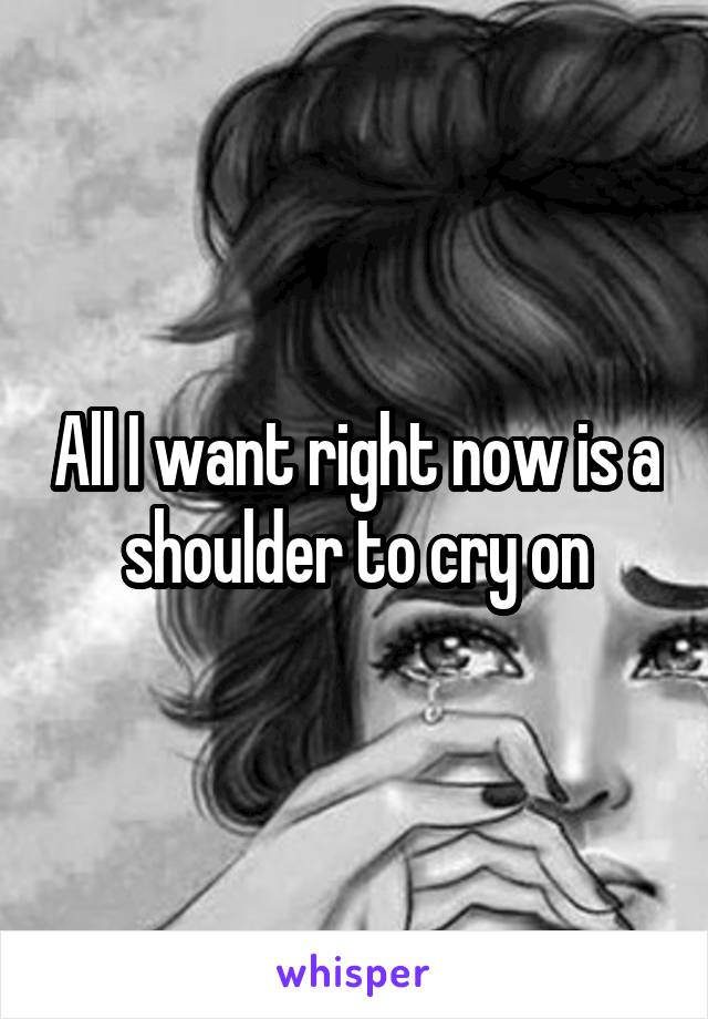 All I want right now is a shoulder to cry on