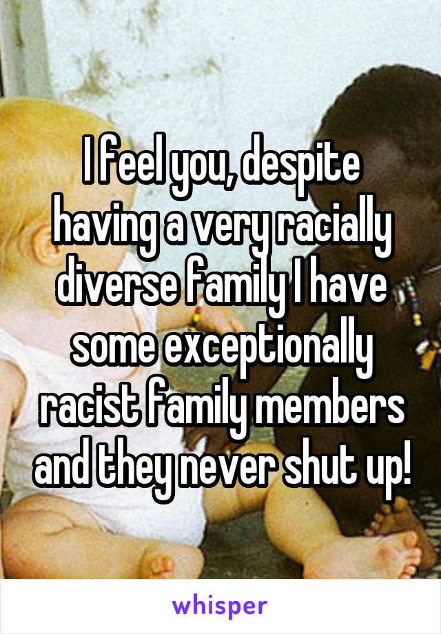 I feel you, despite having a very racially diverse family I have some exceptionally racist family members and they never shut up!