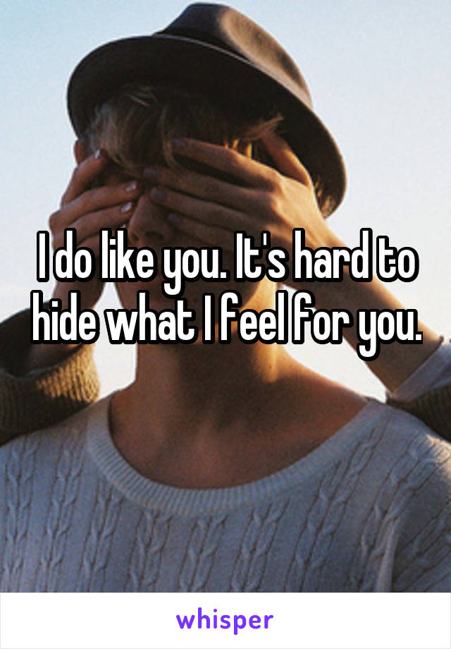 I do like you. It's hard to hide what I feel for you. 