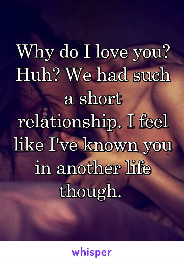 Why do I love you? Huh? We had such a short relationship. I feel like I've known you in another life though. 
