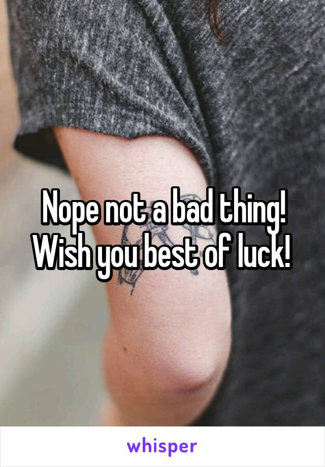 Nope not a bad thing! Wish you best of luck! 