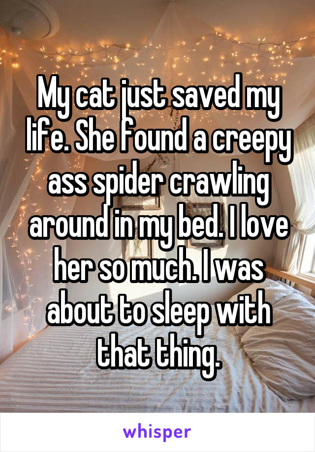 My cat just saved my life. She found a creepy ass spider crawling around in my bed. I love her so much. I was about to sleep with that thing.