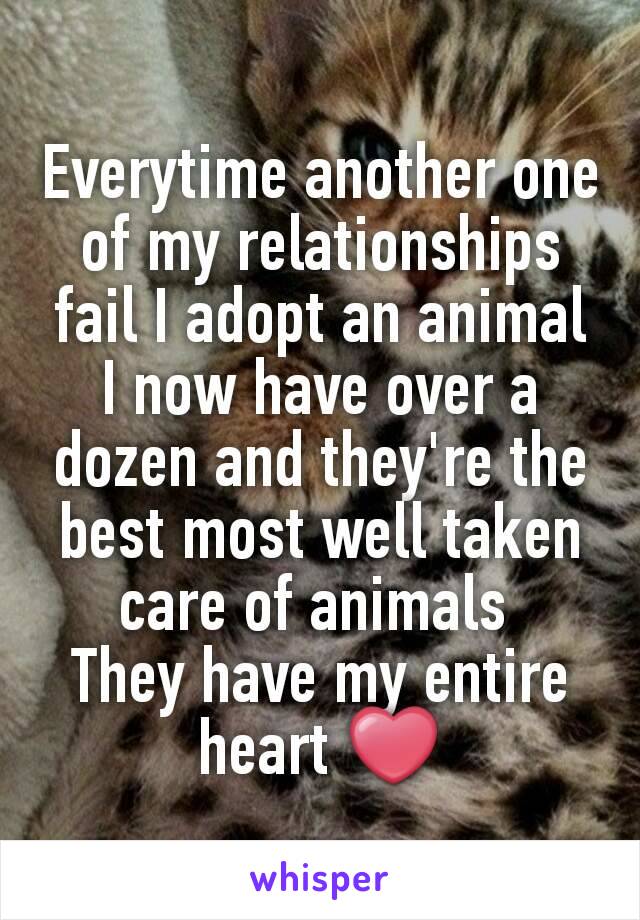 Everytime another one of my relationships fail I adopt an animal
I now have over a dozen and they're the best most well taken care of animals 
They have my entire heart ❤