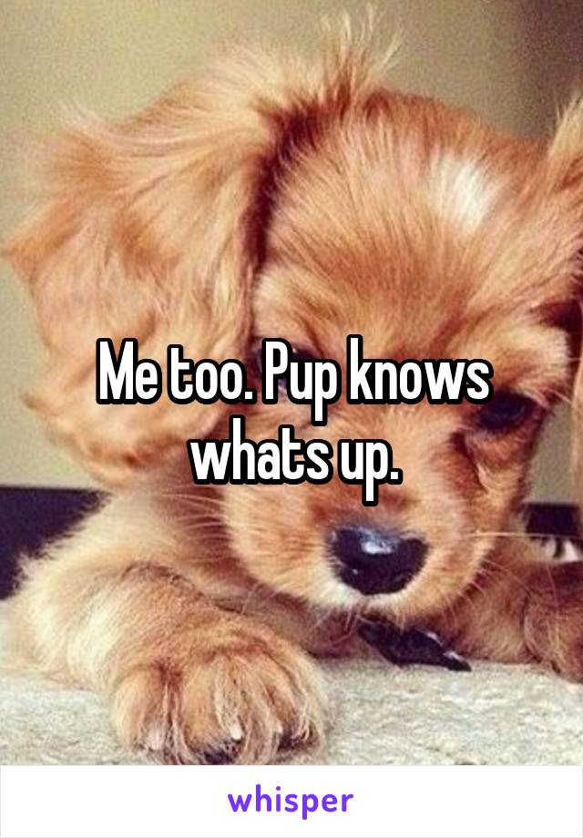 Me too. Pup knows whats up.