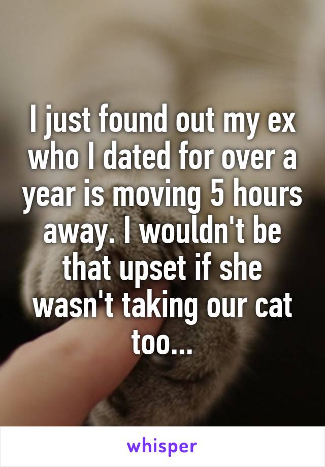 I just found out my ex who I dated for over a year is moving 5 hours away. I wouldn't be that upset if she wasn't taking our cat too...