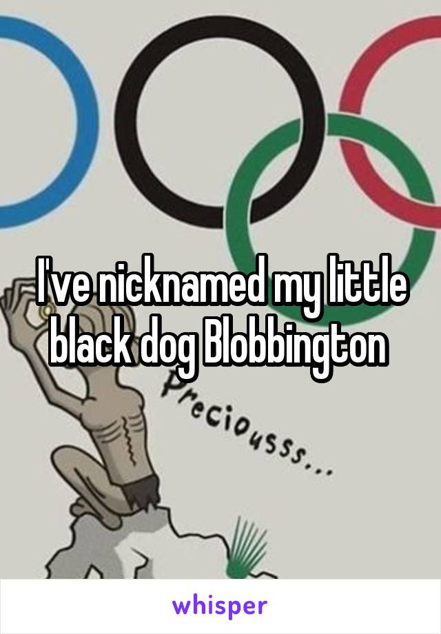 I've nicknamed my little black dog Blobbington 