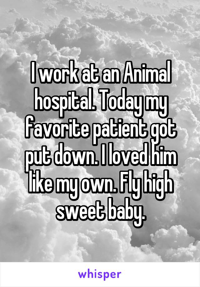 I work at an Animal hospital. Today my favorite patient got put down. I loved him like my own. Fly high sweet baby.