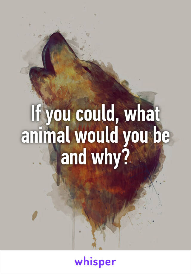 If you could, what animal would you be and why?