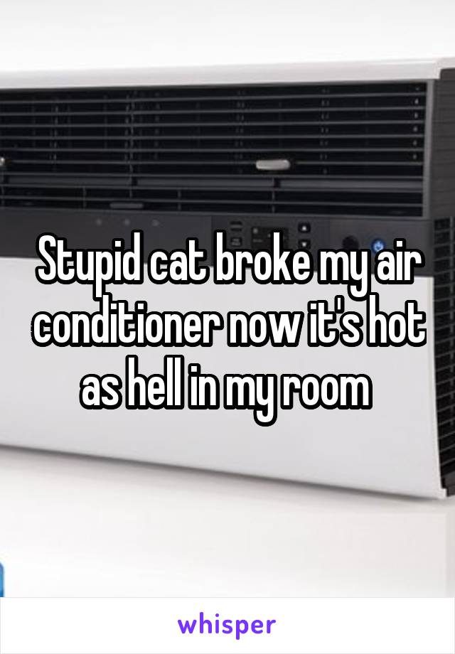 Stupid cat broke my air conditioner now it's hot as hell in my room 