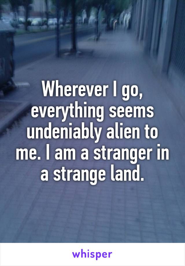 Wherever I go, everything seems undeniably alien to me. I am a stranger in a strange land.