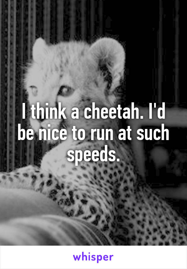 I think a cheetah. I'd be nice to run at such speeds.