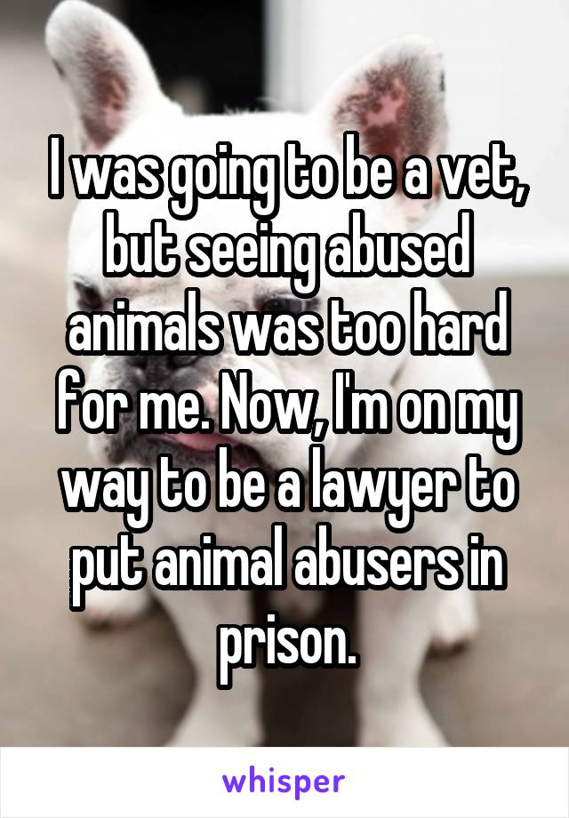 I was going to be a vet, but seeing abused animals was too hard for me. Now, I'm on my way to be a lawyer to put animal abusers in prison.