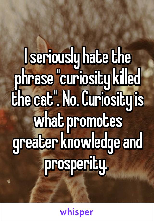 I seriously hate the phrase "curiosity killed the cat". No. Curiosity is what promotes greater knowledge and prosperity. 