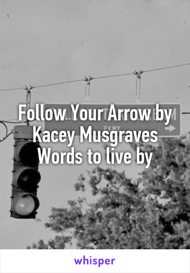 Follow Your Arrow by Kacey Musgraves
Words to live by