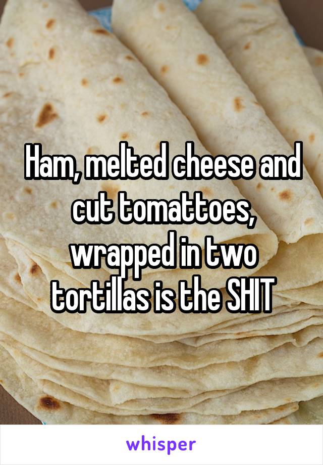 Ham, melted cheese and cut tomattoes, wrapped in two tortillas is the SHIT