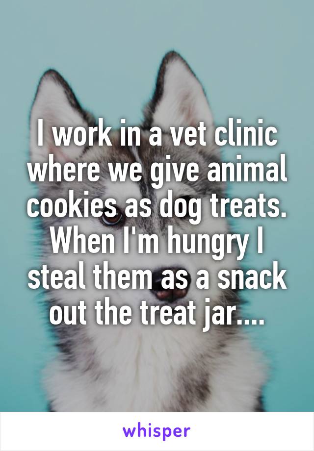 I work in a vet clinic where we give animal cookies as dog treats. When I'm hungry I steal them as a snack out the treat jar....